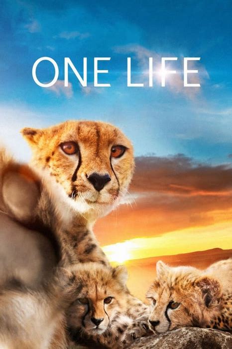 watch one life online